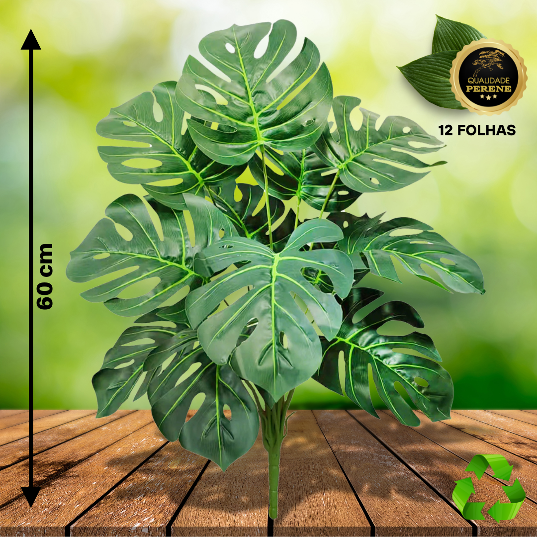 Monstera Tropical Decorativa Perene