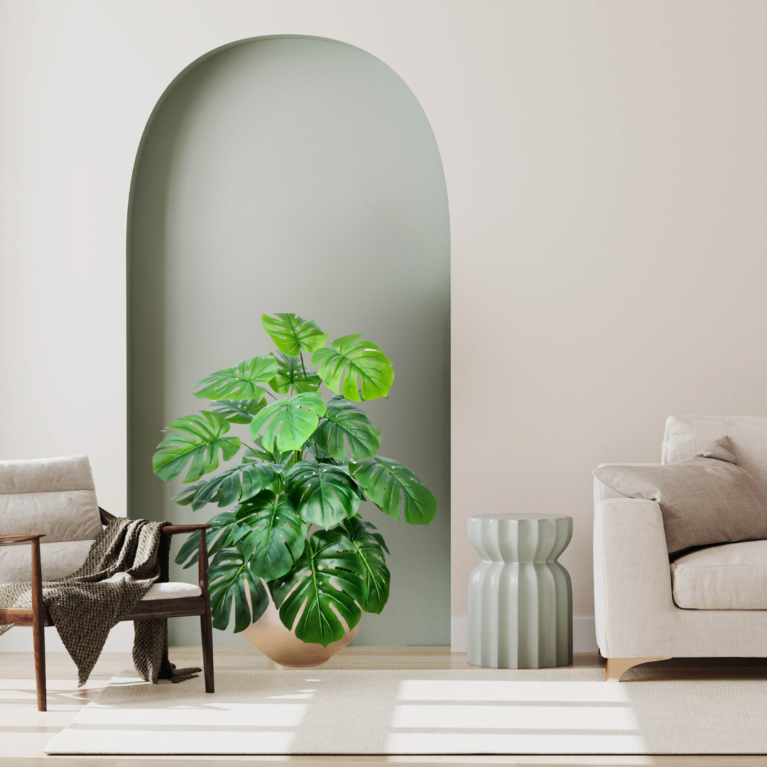 Monstera Tropical Decorativa Perene