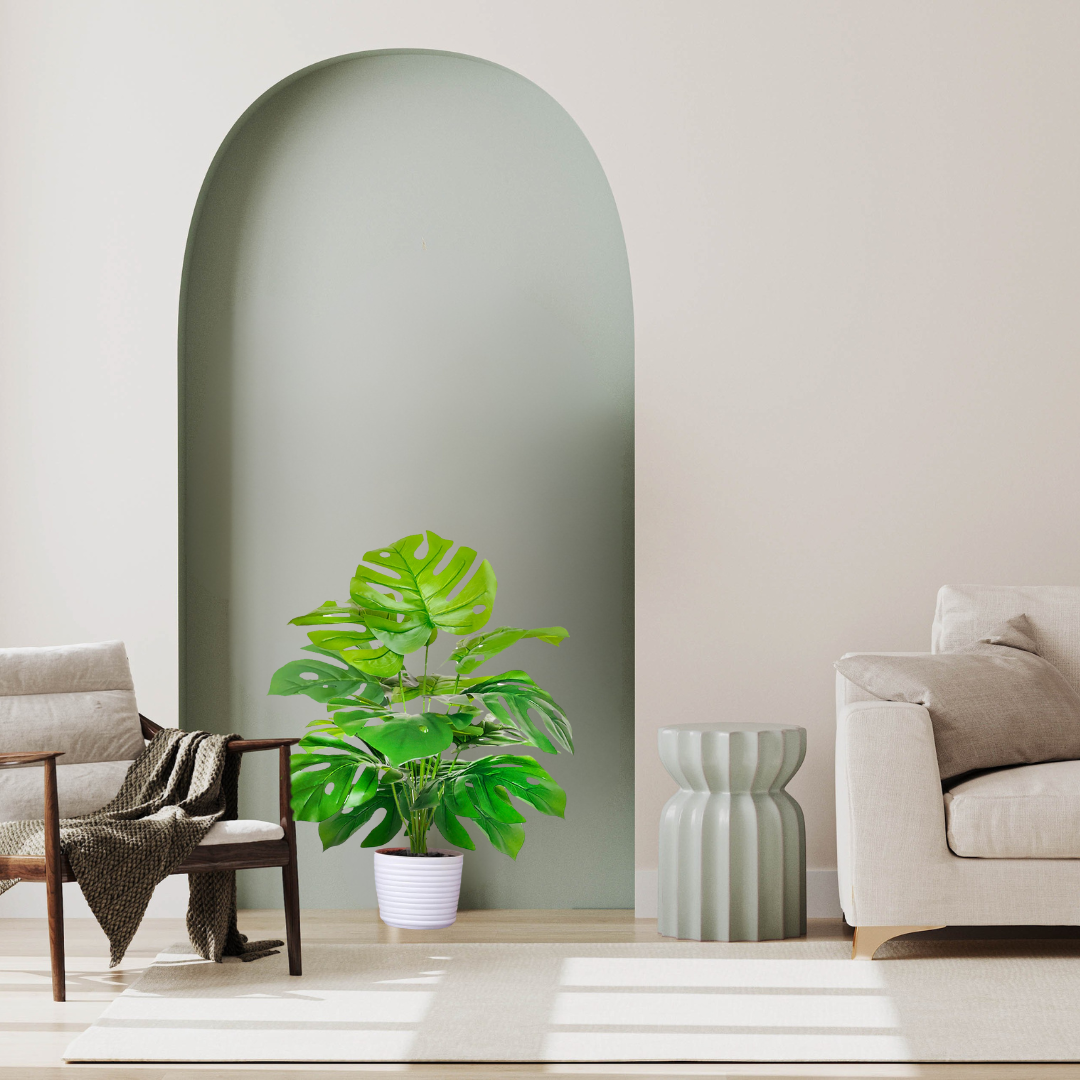 Monstera Tropical Decorativa Perene