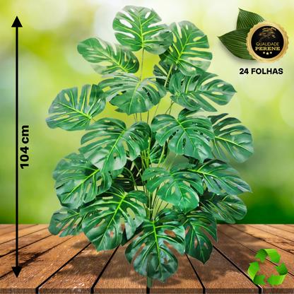 Monstera Tropical Decorativa Perene